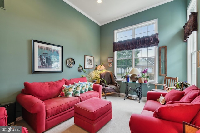 carpeted living room featuring ornamental molding and a high ceiling