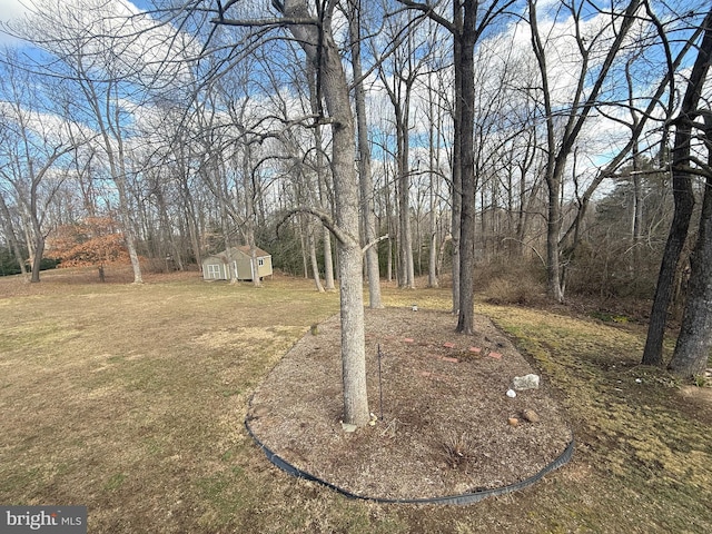 37978 George F Dr, Mechanicsville, MD 20659 - view of yard with an outbuilding and a storage shed