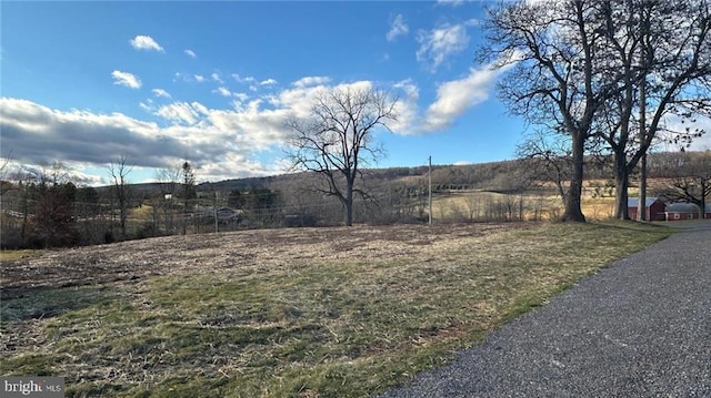 view of yard with a rural view