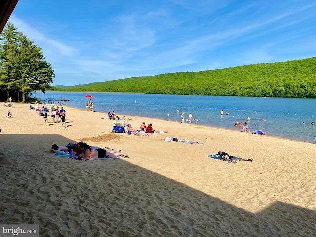 water view featuring a beach view