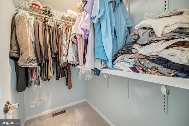 spacious closet with carpet