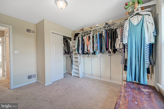 walk in closet featuring carpet flooring