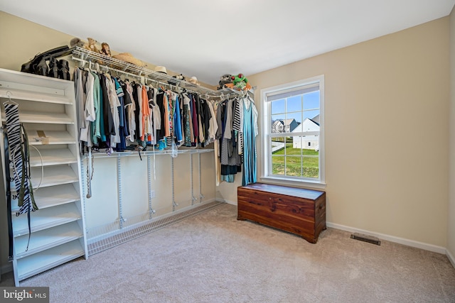 spacious closet with light colored carpet