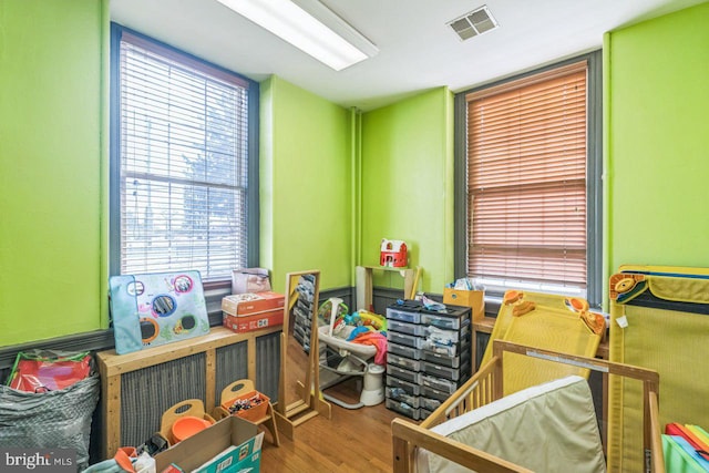 game room featuring hardwood / wood-style flooring and plenty of natural light