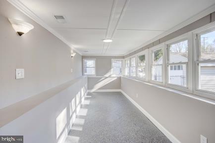 hall featuring carpet and a wealth of natural light