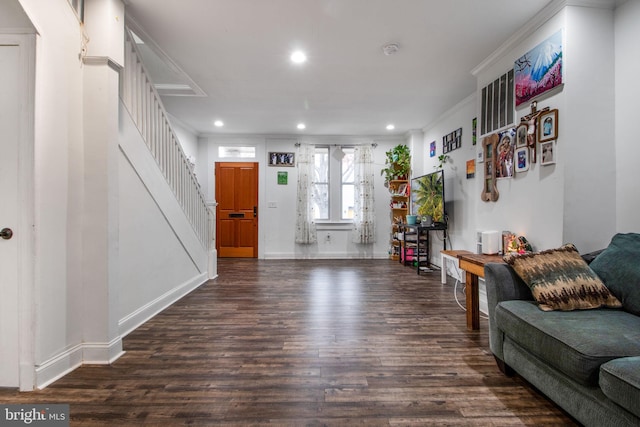 living room featuring dark hardwood / wood-style flooring and crown molding