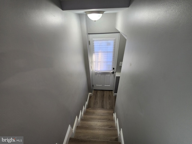 stairs featuring wood-type flooring