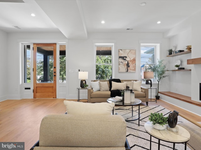 living room with light hardwood / wood-style flooring and plenty of natural light