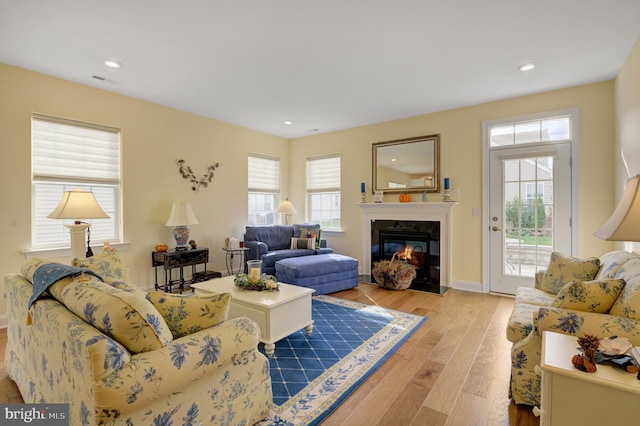 living room featuring plenty of natural light and light wood-type flooring