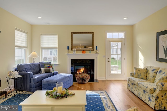 living room with light hardwood / wood-style floors