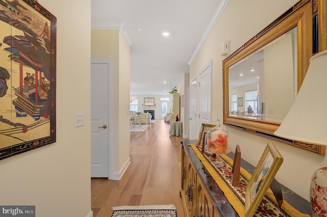 hallway featuring crown molding and light hardwood / wood-style flooring