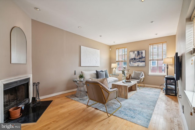 living room featuring light hardwood / wood-style flooring