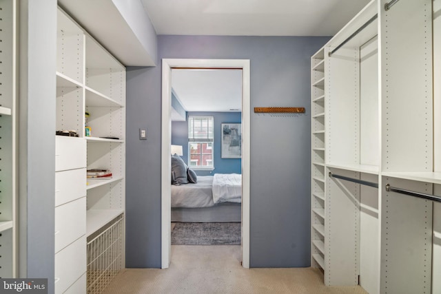 walk in closet featuring light carpet