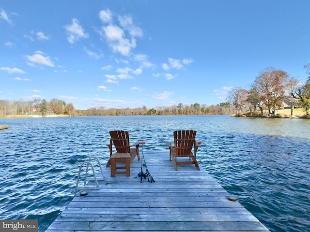 dock area featuring a water view