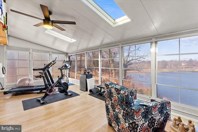 exercise room with ceiling fan, hardwood / wood-style floors, and lofted ceiling with skylight