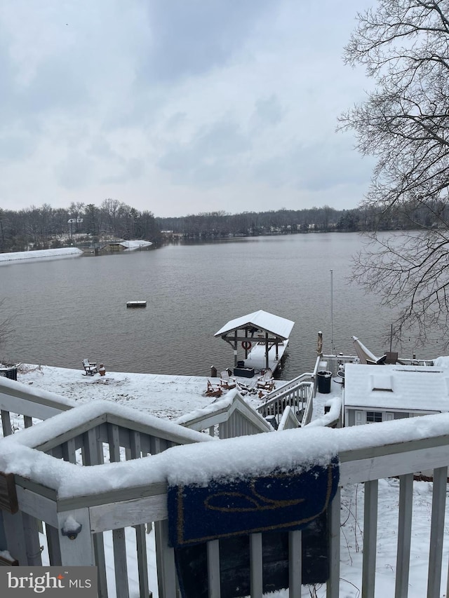 dock area with a water view