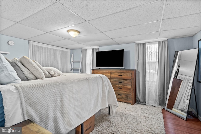 bedroom featuring a paneled ceiling and dark hardwood / wood-style floors