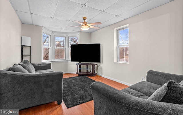 living room featuring hardwood / wood-style flooring, a drop ceiling, and ceiling fan