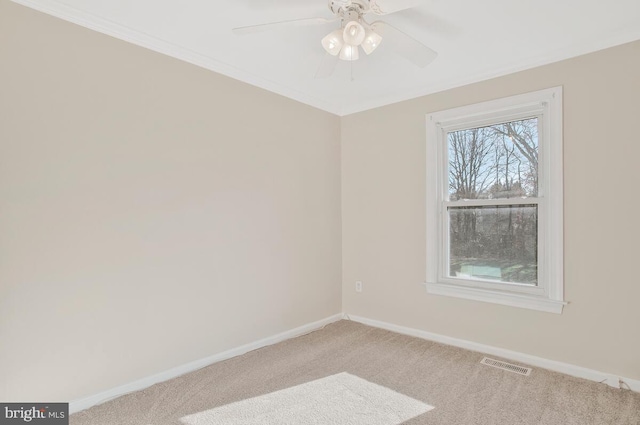 carpeted spare room with ceiling fan and ornamental molding