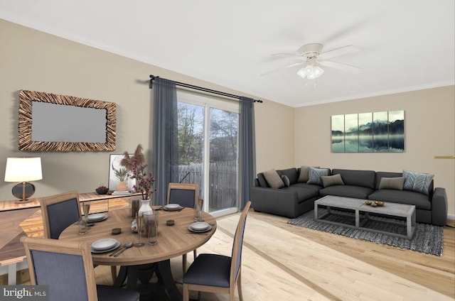 dining area featuring hardwood / wood-style flooring, ceiling fan, and crown molding