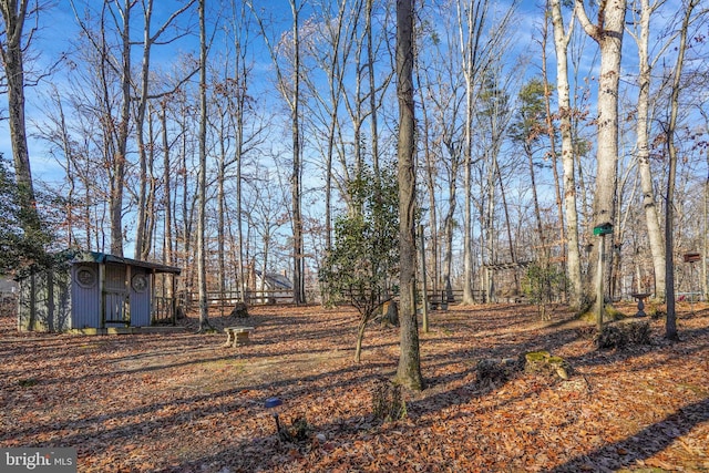 view of yard featuring a storage unit