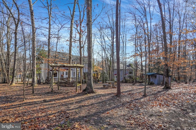 view of yard with a storage shed