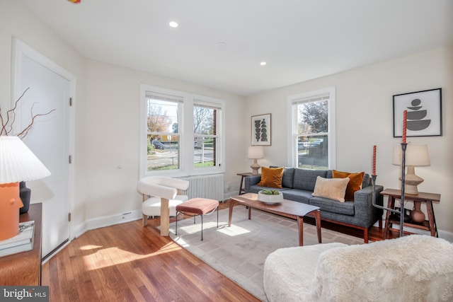 living room with wood-type flooring and radiator