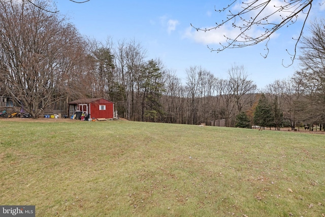 view of yard with a shed