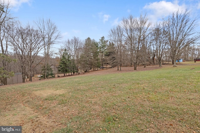 view of yard featuring a rural view