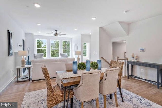 dining area with ceiling fan and light wood-type flooring