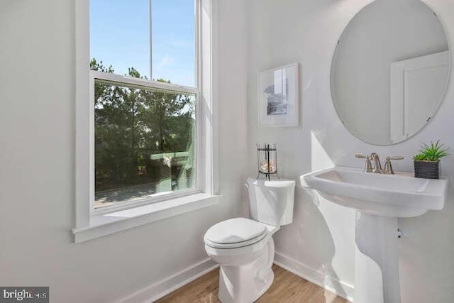 bathroom with toilet, a healthy amount of sunlight, and wood-type flooring