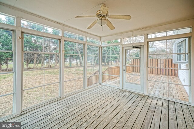 unfurnished sunroom featuring ceiling fan and a wealth of natural light