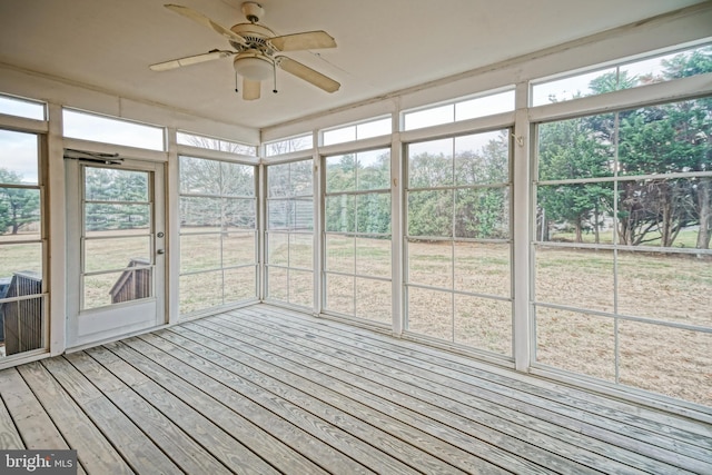 unfurnished sunroom with ceiling fan and a healthy amount of sunlight