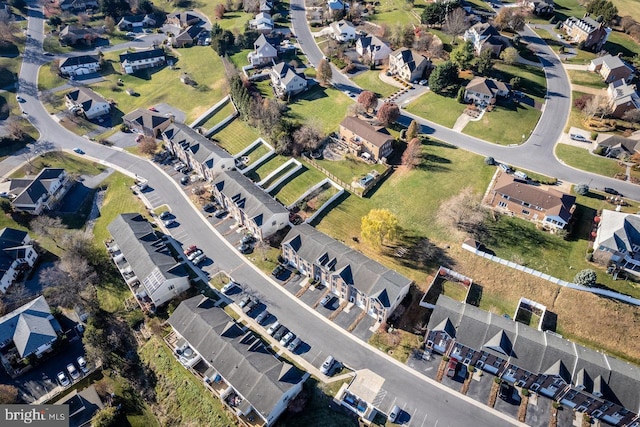 bird's eye view