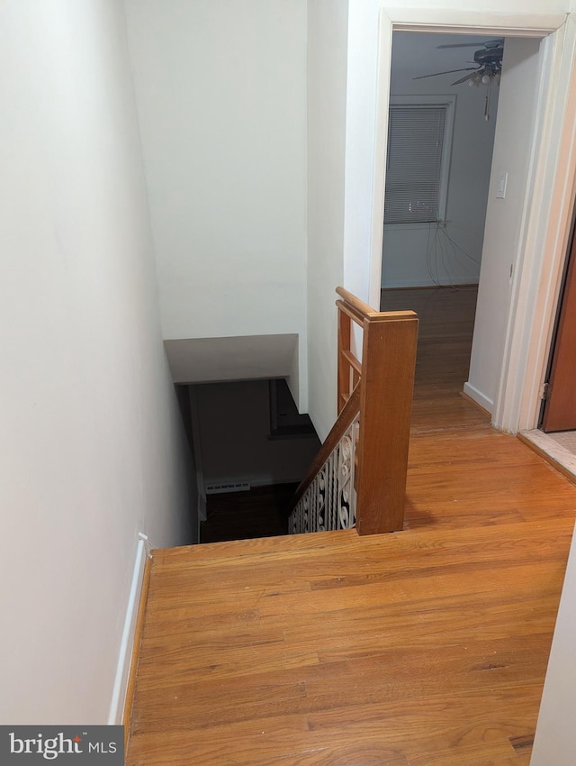 stairway with hardwood / wood-style flooring and ceiling fan