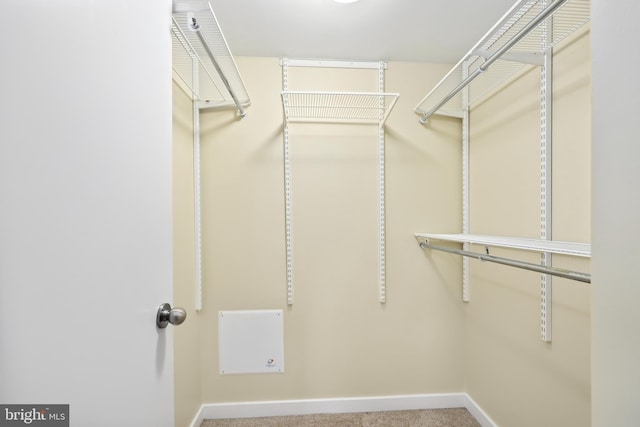 walk in closet featuring carpet flooring