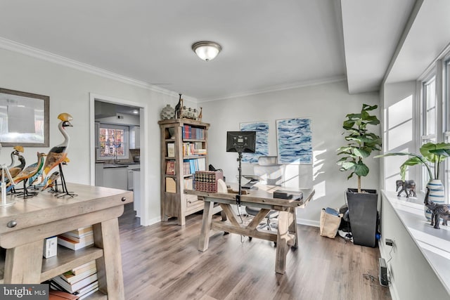 office space featuring hardwood / wood-style flooring and crown molding