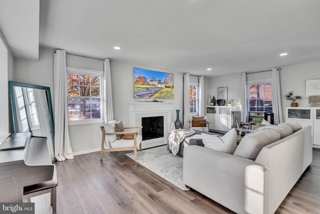 living room with a healthy amount of sunlight and light hardwood / wood-style floors