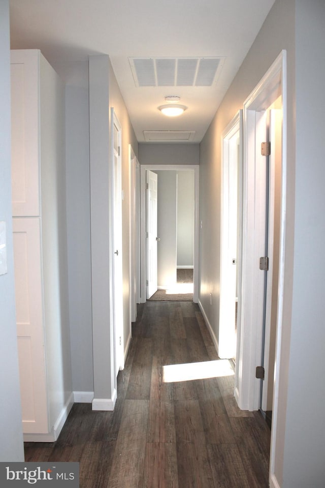 corridor with dark hardwood / wood-style floors