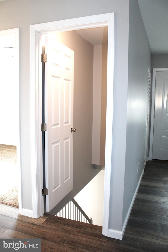 hallway featuring dark hardwood / wood-style floors