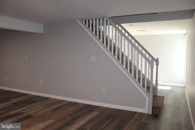 stairway featuring wood-type flooring