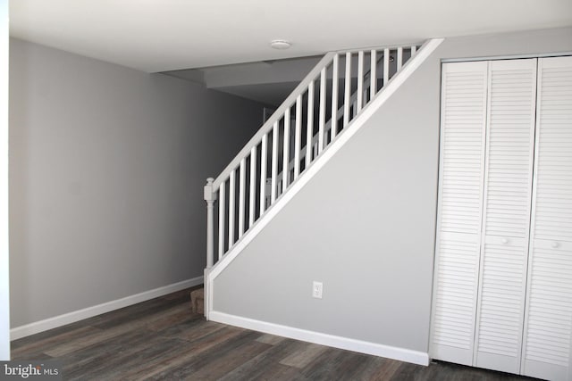 stairway with hardwood / wood-style floors