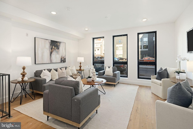 living room featuring light hardwood / wood-style floors