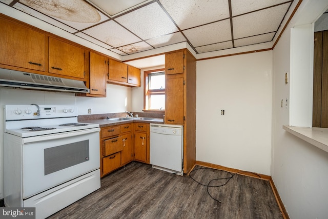 kitchen with a paneled ceiling, dark hardwood / wood-style flooring, white appliances, and sink