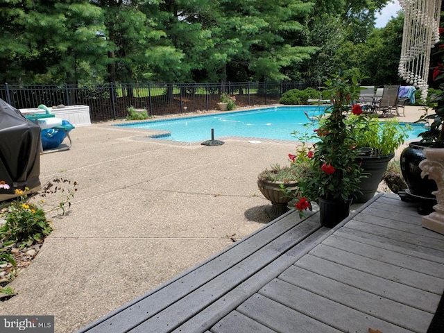 view of swimming pool featuring a patio area