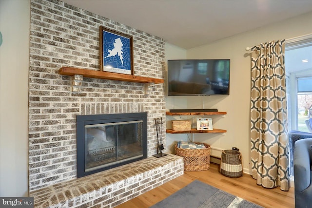 living room featuring a fireplace and wood-type flooring