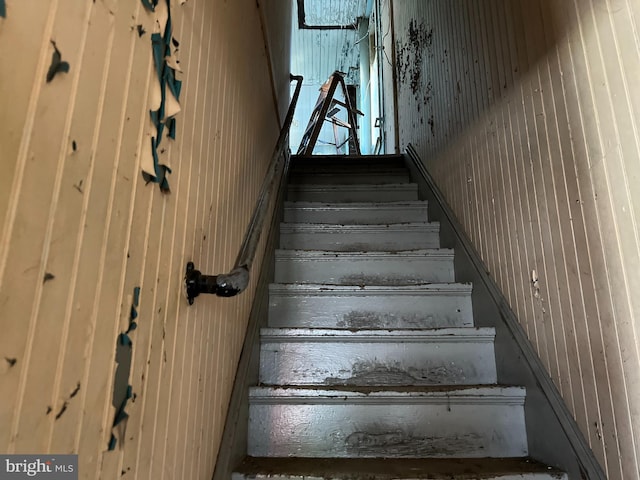 stairs with wood walls