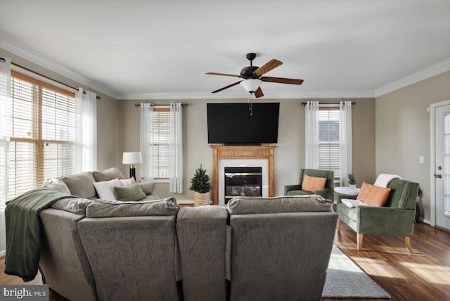 living room with a fireplace, light wood-type flooring, plenty of natural light, and ornamental molding