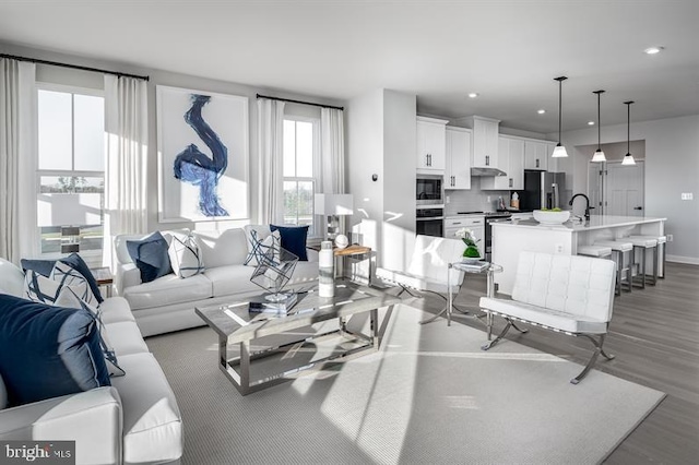 living room with light hardwood / wood-style floors and sink