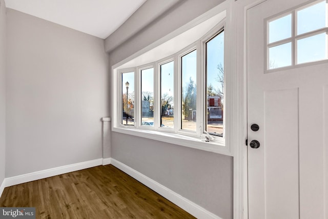 doorway with dark hardwood / wood-style flooring